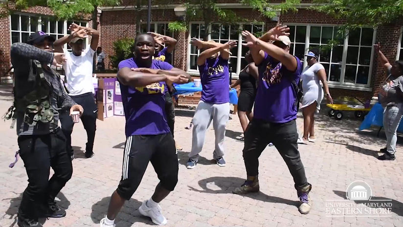 Hawk Family Before I Let Go